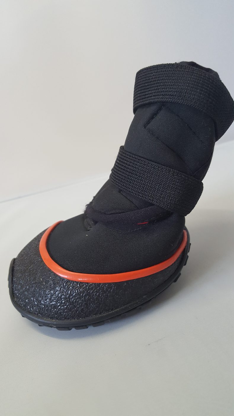VetGuard Veterinary Dog Boots Westcoast Hydrotherapy