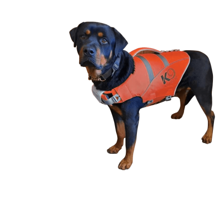 The Red K9 Aquafloat Dog Life Jacket
