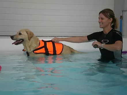 Small Dog - Composite Jet Pool - Westcoast Hydrotherapy